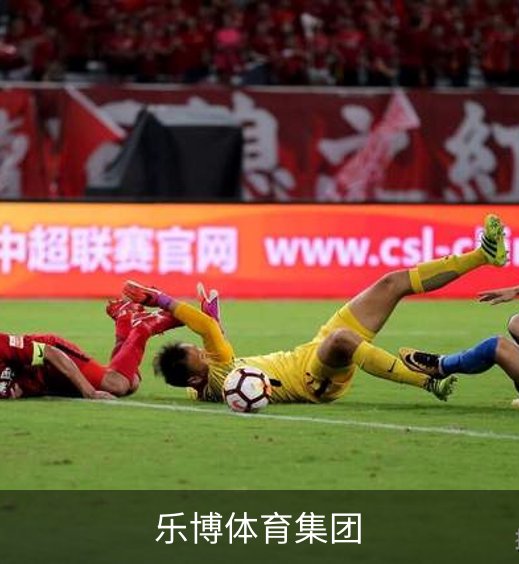 关于乐博体育集团